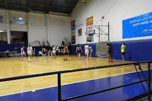 Defensor Sporting Club - Basquetbol image