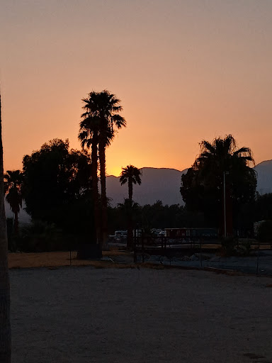 Thrift Store «Angel View Resale Store - Yucca Valley», reviews and photos