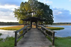 Chewalla Lake Recreation Area image