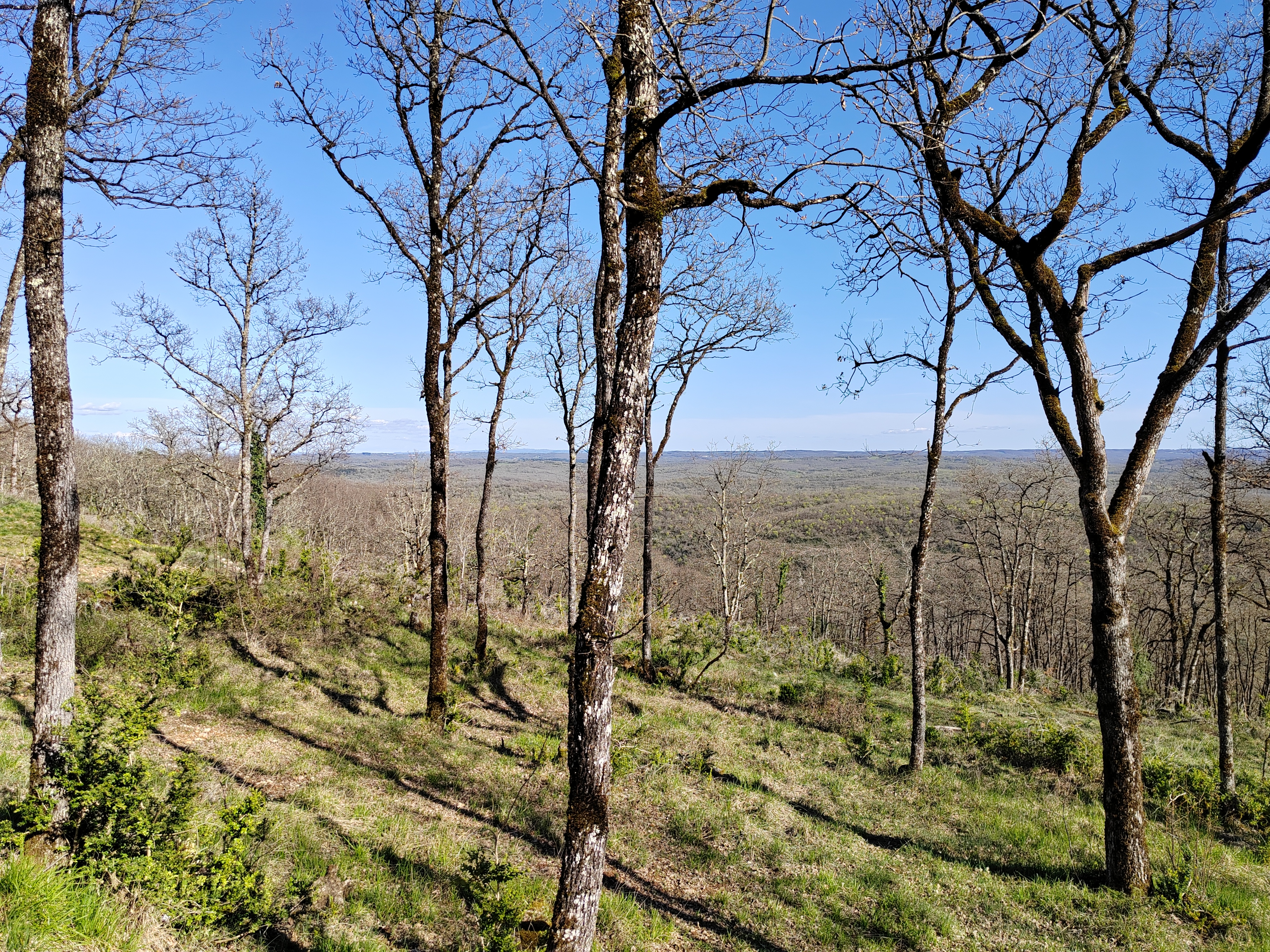 Photo n° 1 de l'avis de David.a fait le 07/04/2023 à 16:59
