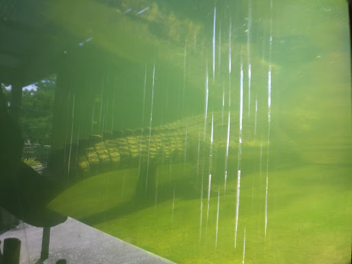 Zoo «Alligator Adventure», reviews and photos, 4604 Hwy 17 S, North Myrtle Beach, SC 29582, USA