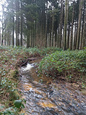 La Neuville aux joutes à La Neuville-aux-Joûtes