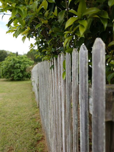 Park «Heritage Park», reviews and photos, 99 Lake Dow Rd, McDonough, GA 30252, USA