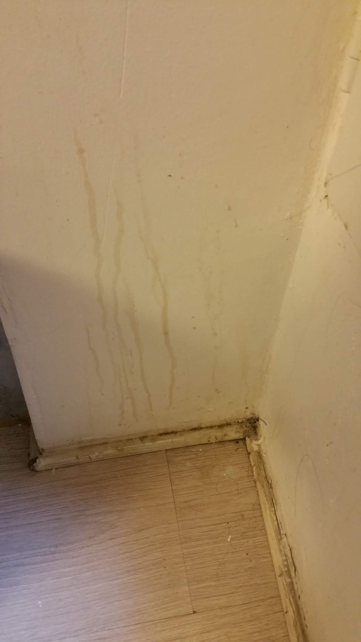 Photo n° 13 de l'avis de Dimitri.o fait le 19/06/2018 à 15:52