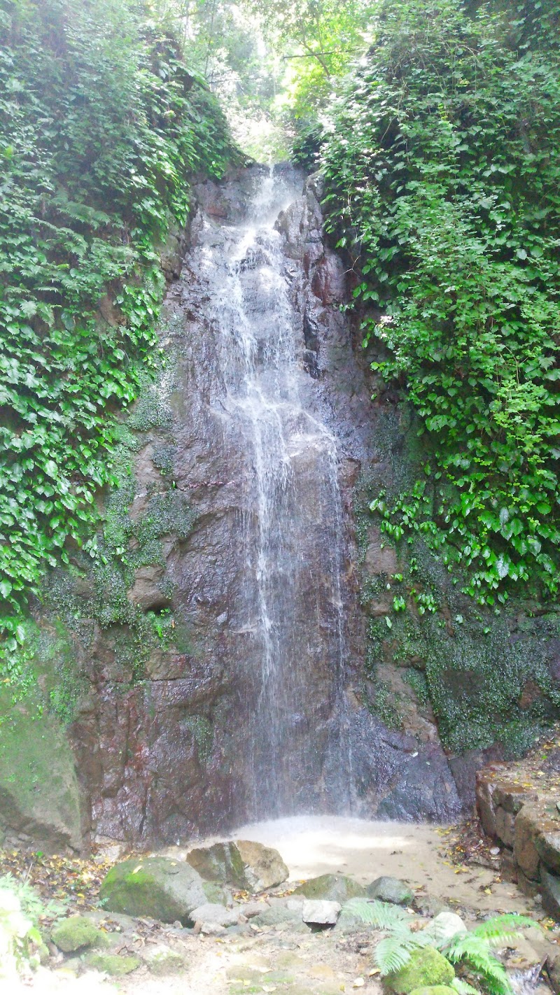 淺野公園