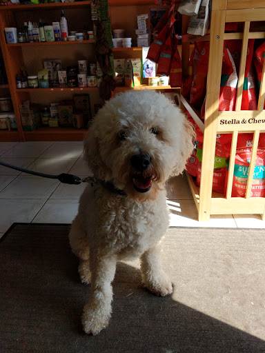 Pet Supply Store «Wholesome Animal Grocery Store (WAGS)», reviews and photos, 70 E Main St, Avon, CT 06001, USA