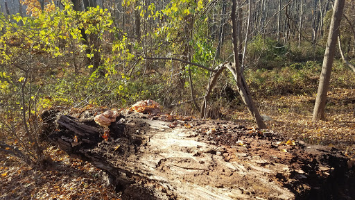 Public Golf Course «Mohansic Golf Course», reviews and photos, 1500 Baldwin Rd, Yorktown Heights, NY 10598, USA