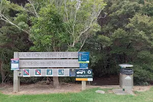 Kauri Point Centennial Park image