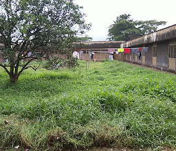 Hall 4 Unit2 photo
