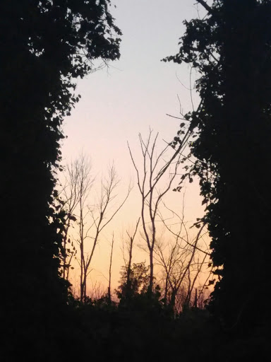 Dessert Shop «Grindstone General Store», reviews and photos, 3206 Copeland Rd, Port Austin, MI 48467, USA