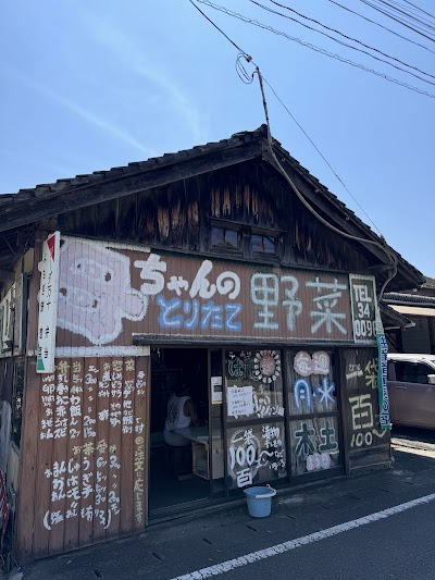 やさい村