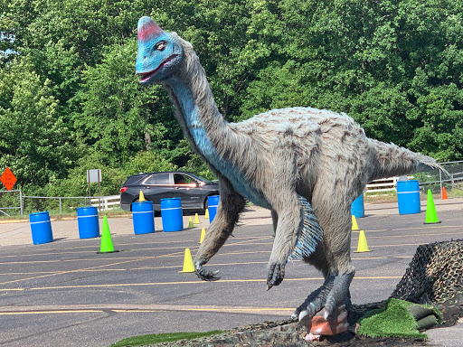 Live Music Venue «DTE Energy Music Theatre», reviews and photos, 7774 Sashabaw Rd, Village of Clarkston, MI 48348, USA