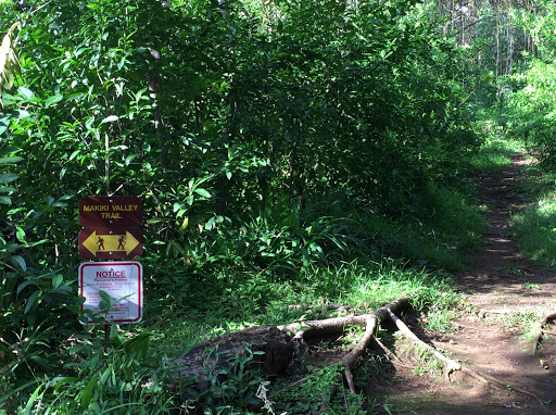 ʻUalakaʻa Trail