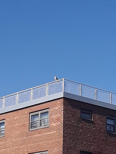 Community Center «Manhattanville Community Center», reviews and photos, 530 W 133rd St, New York, NY 10027, USA