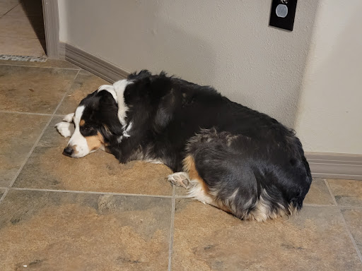 Ranch «C-A-L Ranch Stores», reviews and photos, 2075 N Pebble Creek Pkwy, Goodyear, AZ 85395, USA