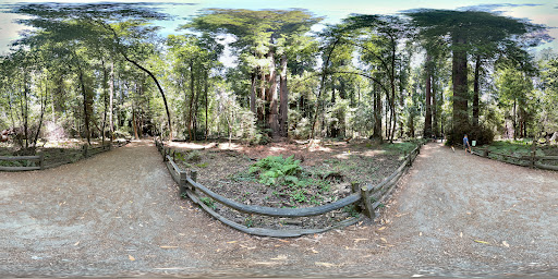 Visitor Center | Henry Cowell Redwoods State Park