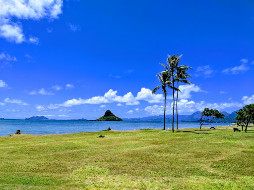 Luxury campsites Honolulu