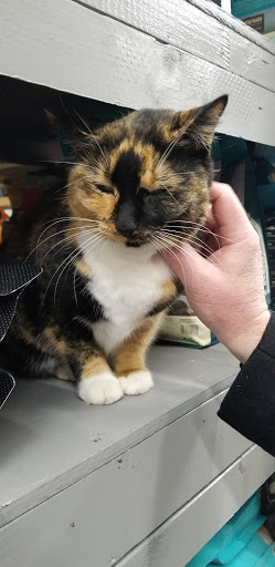 Pet Supply Store «Northside Grange», reviews and photos, 4116 Hamilton Ave, Cincinnati, OH 45223, USA