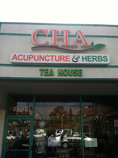 Chinese Healing Arts & Acupuncture