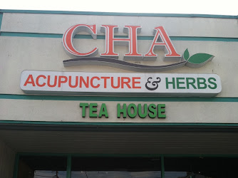 Chinese Healing Arts & Acupuncture