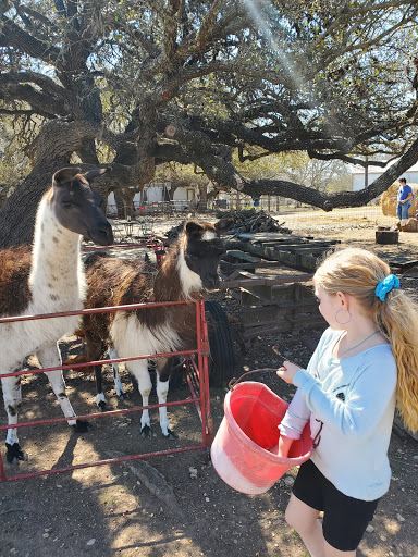 Pony Ride Service «The Farmyard», reviews and photos, 30250 Leroy Scheel Rd, Bulverde, TX 78163, USA