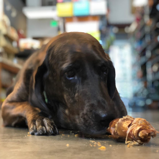 Pet Supply Store «Pet Barn Inc», reviews and photos, 167 Jennifer Rd # G, Annapolis, MD 21401, USA