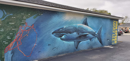 Sporting Goods Store «Half-Moon Outfitters», reviews and photos, 425 Coleman Blvd, Mt Pleasant, SC 29464, USA