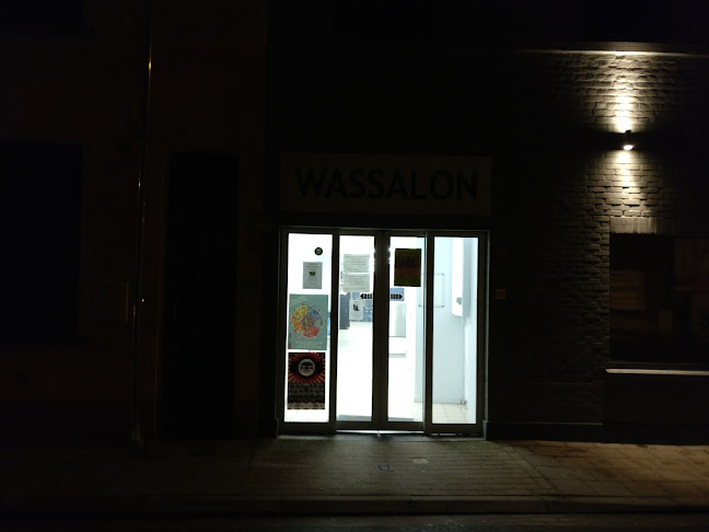 Beoordelingen van Wassalon Mr Ecowash in Leuven - Wasserij