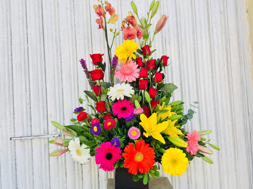 FLORISTERIA RODRÍGUEZ – Oaxaca