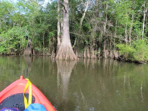 Fishing Camp «Becks Lake Fish Camp», reviews and photos, 2020 Becks Lake Rd, Cantonment, FL 32533, USA