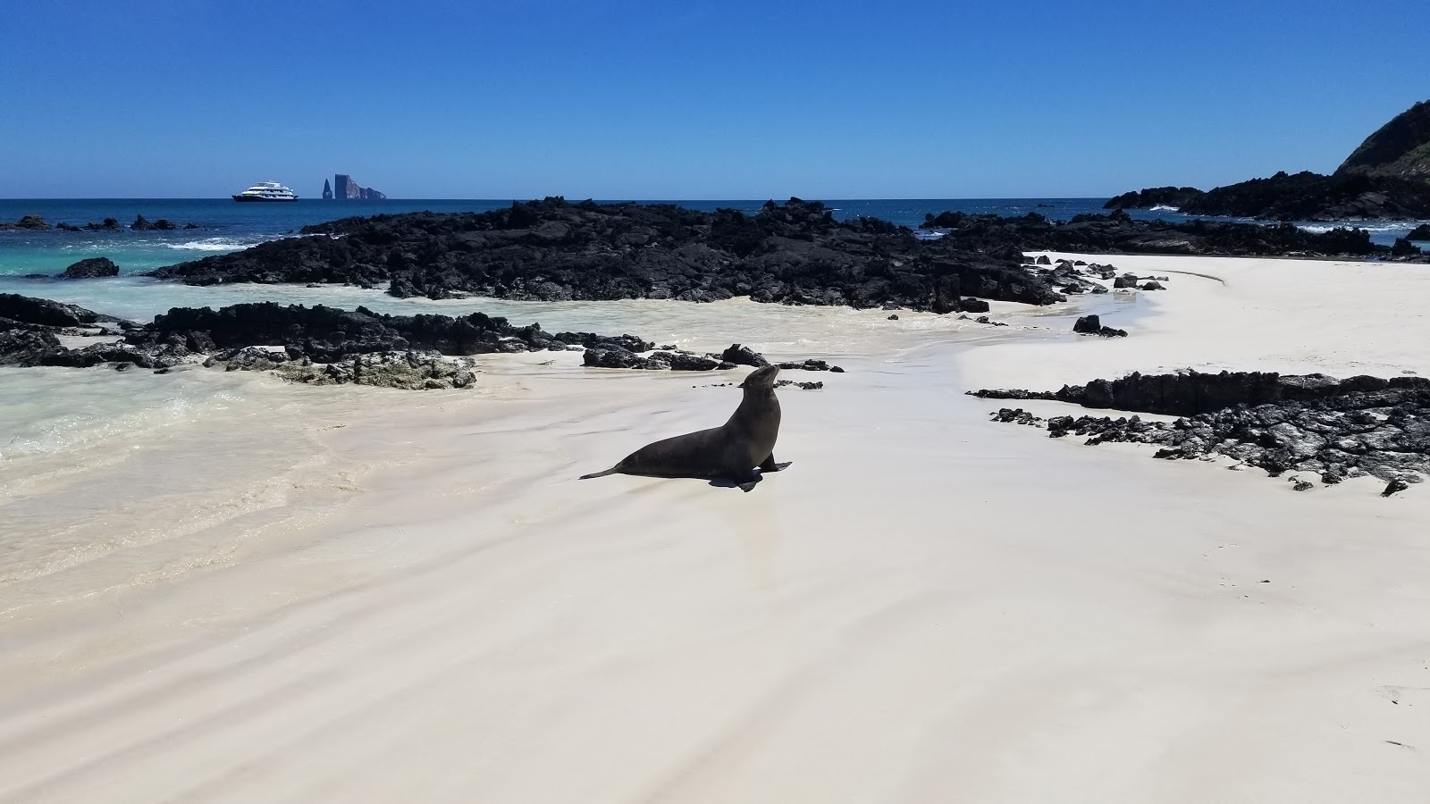 Foto di Playa Cerro Brujo con molto pulito livello di pulizia