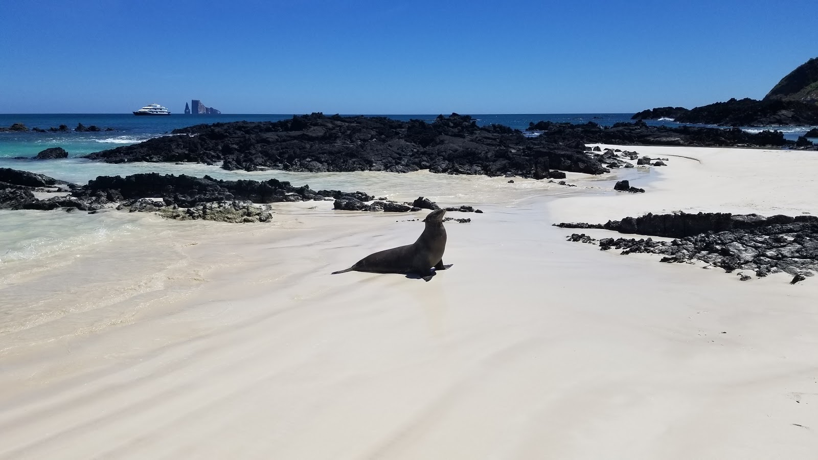 Playa Cerro Brujo的照片 野外区域