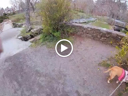 Park «Oliver Mill Park», reviews and photos, Nemasket St, Middleborough, MA 02346, USA