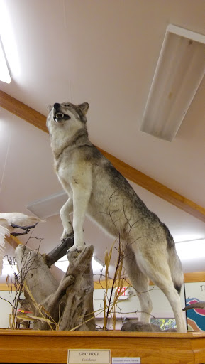 Nature Preserve «For-Mar Nature Preserve & Arboretum», reviews and photos, 2142 N Genesee Rd, Burton, MI 48509, USA