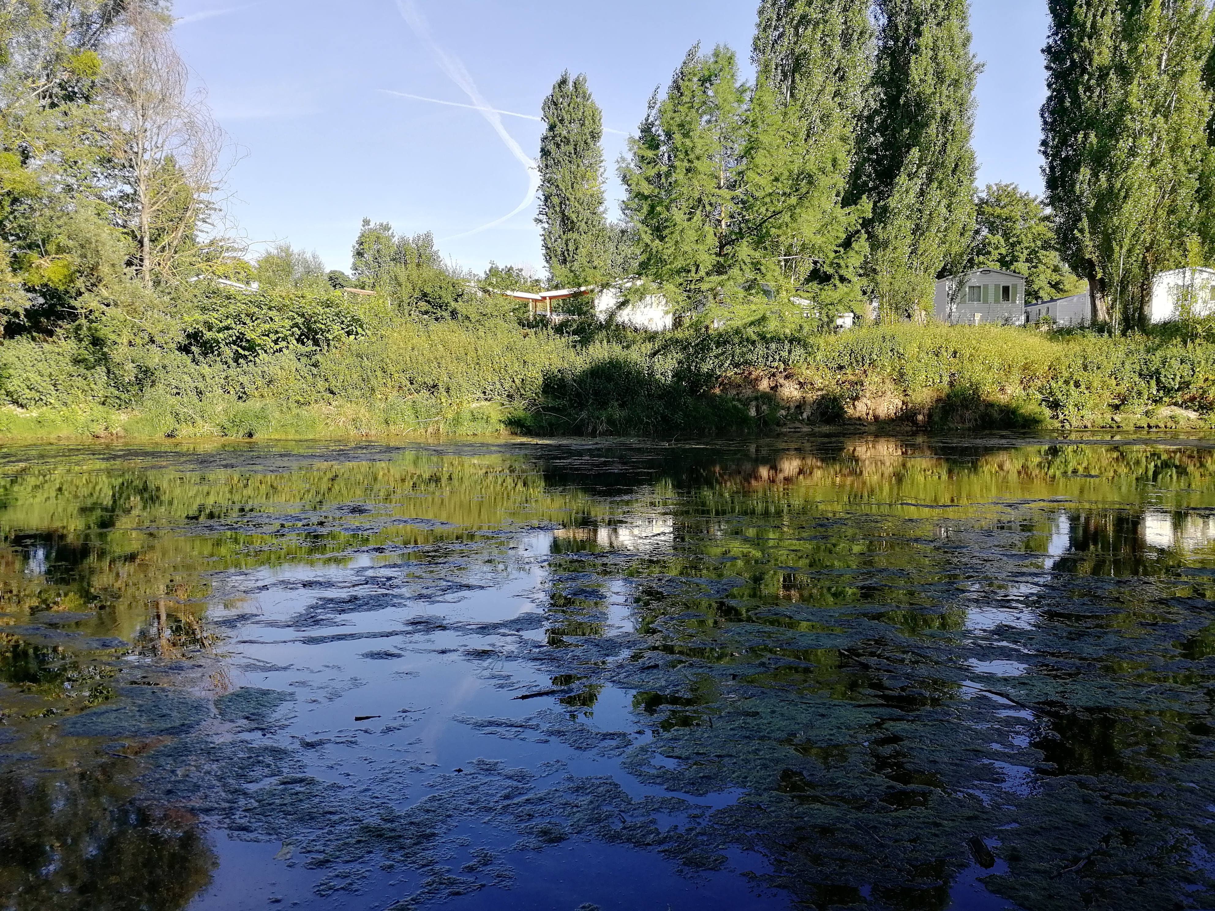 Photo n° 1 de l'avis de clara.' fait le 24/06/2020 à 16:59