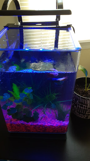 Pet Supply Store «PetSmart», reviews and photos, 1521 Golden Gate Plaza, Mayfield Heights, OH 44124, USA