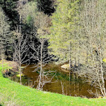 Photo n°2 de l'avis de Liane.t fait le 25/04/2023 à 11:47 sur le  Somewhere Elz | Private Hideaway Resort à Elzach