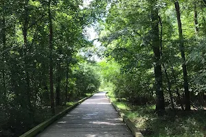 McAlpine Creek Greenway Trailhead image