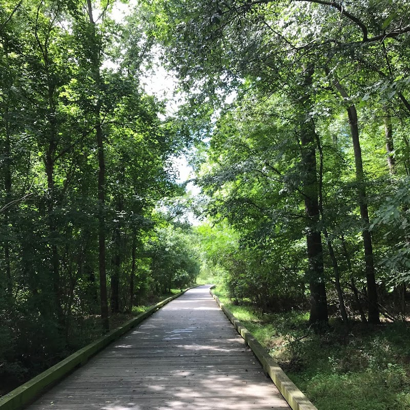 McAlpine Creek Greenway Trailhead