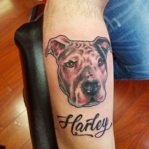 Explore signature tattoo ideas, creative tattoo ideas in Warren, available at Elite Ink Tattoo Studios