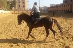 Cairo's Mounted Police Management image