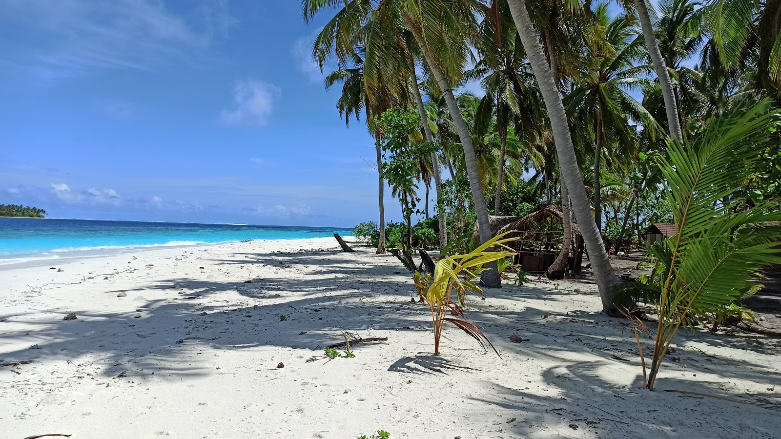 Foto van Faruhulhudhoo Beach met turquoise puur water oppervlakte