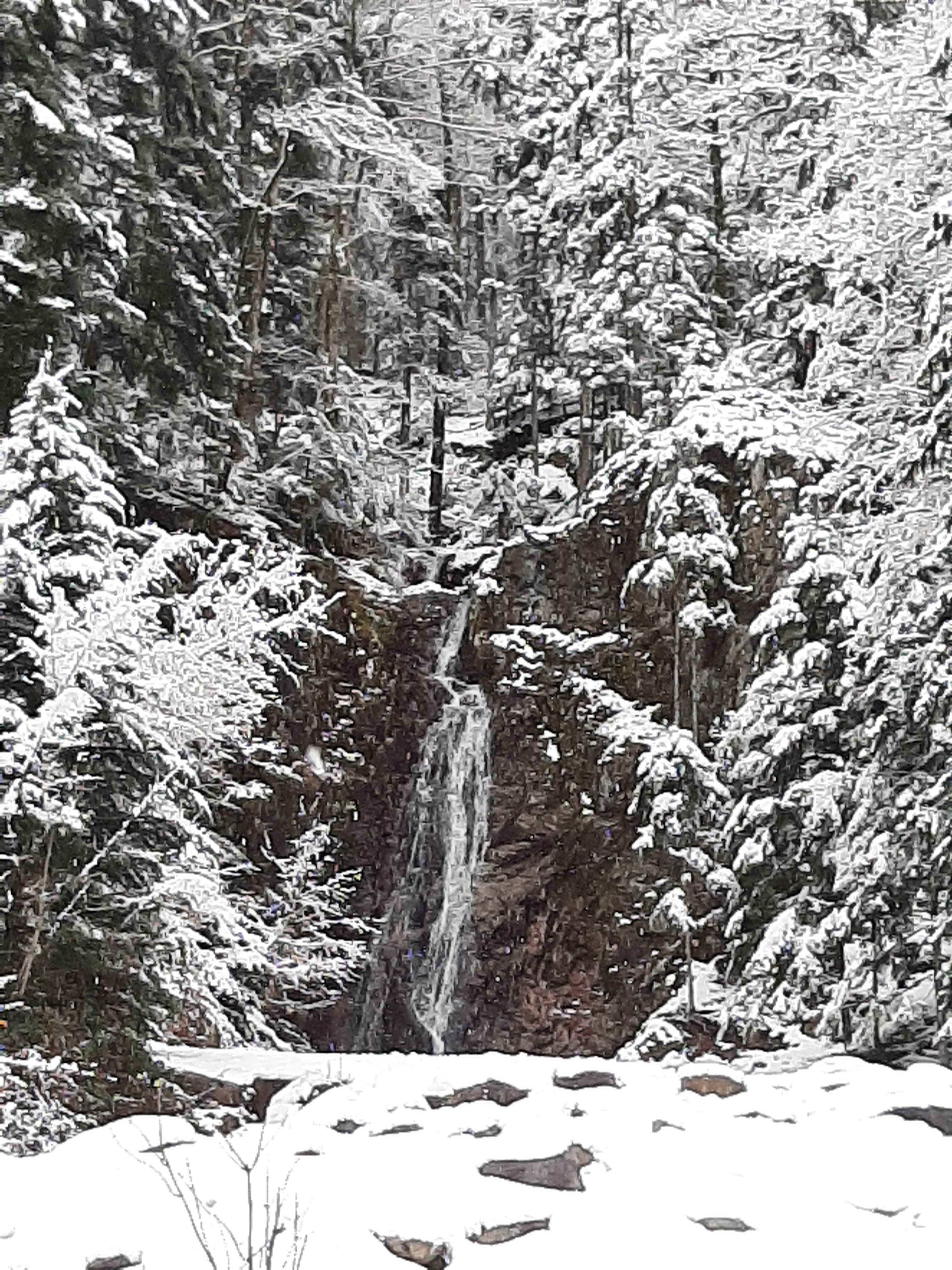 Photo n° 3 de l'avis de Marie-Lise.A fait le 08/12/2021 à 19:37