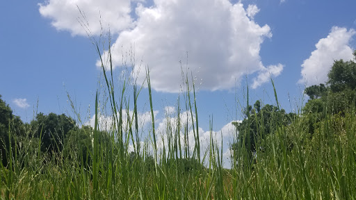 Public Golf Course «Summerfield Crossings Golf Club», reviews and photos, 13050 Summerfield Blvd, Riverview, FL 33579, USA