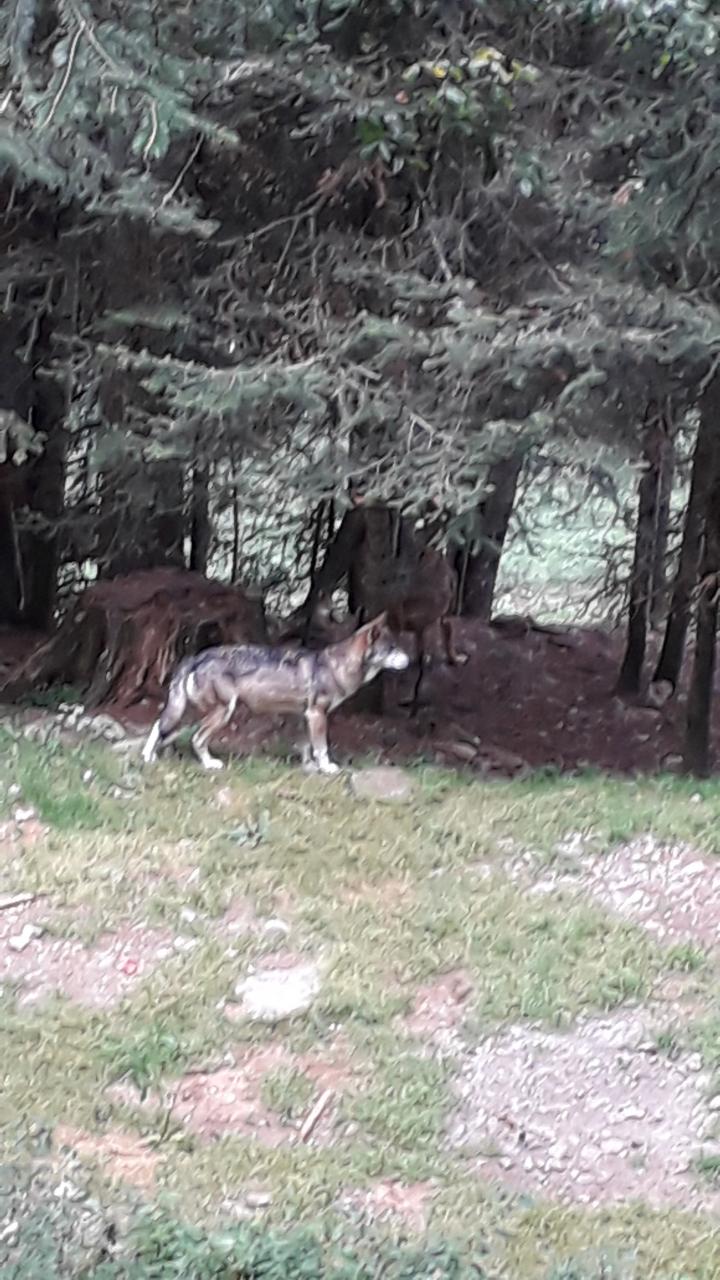 Photo n° 2 de l'avis de Hock. fait le 29/08/2019 à 15:28