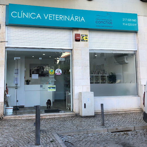 Avaliações doClinica Veterinária das Conchas em Lisboa - Veterinário