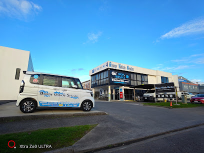Botany Vehicle Service - Bosch Car Service
