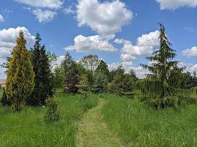 Arboretum Bulovka