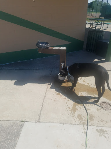 Dog Park «WOOFhaven Dog Park», reviews and photos, 23101 Hall Rd, Woodhaven, MI 48183, USA