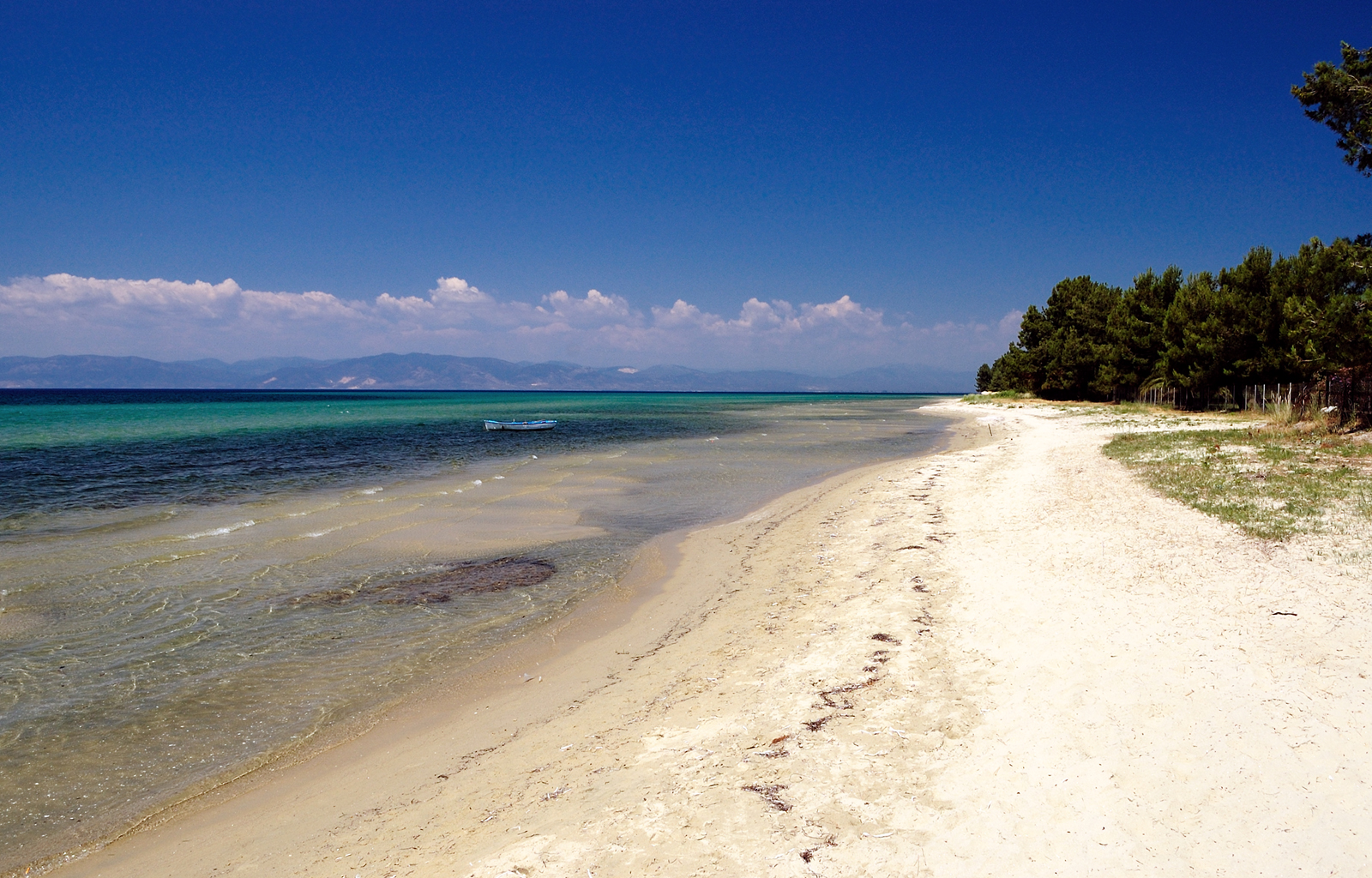 Foto av Platana beach med vit sand yta